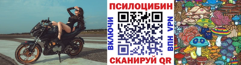 Псилоцибиновые грибы прущие грибы  Купить где  Комсомольск-на-Амуре 